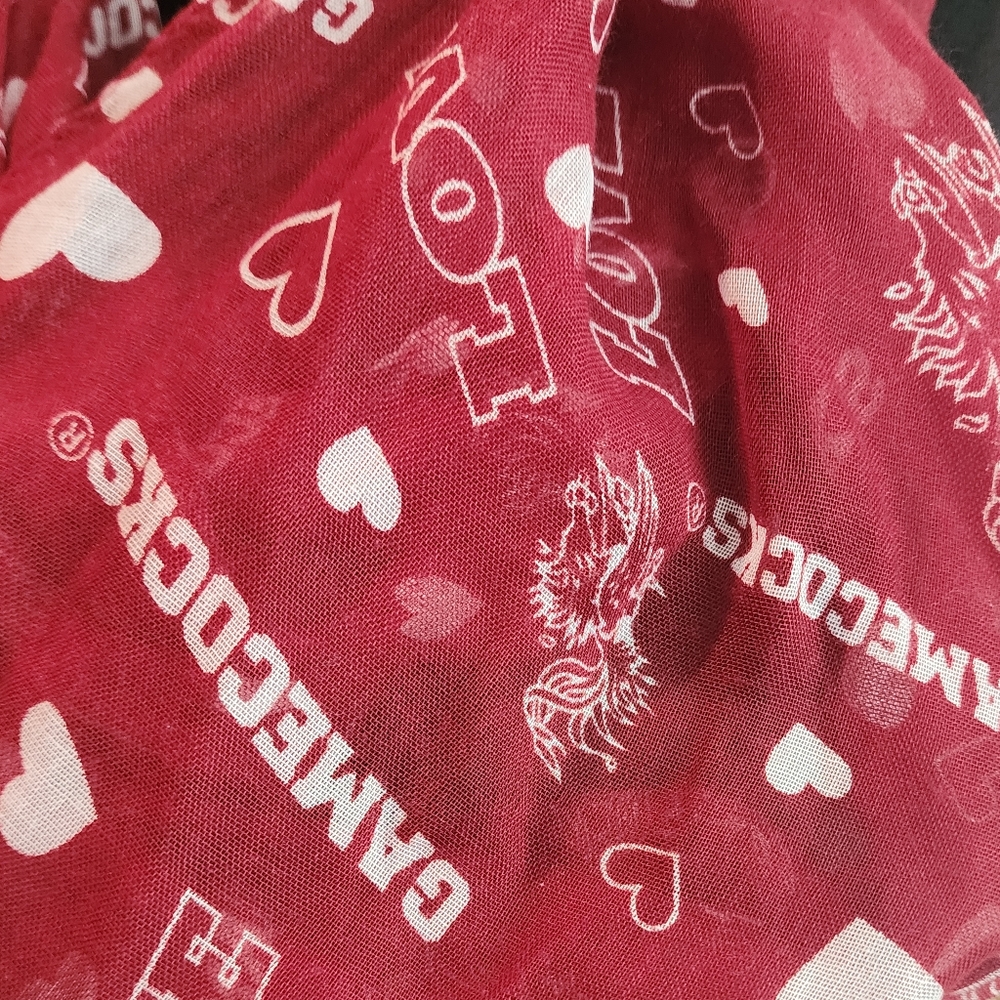 Gamecocks Infinity scarf - Picture 2 of 3